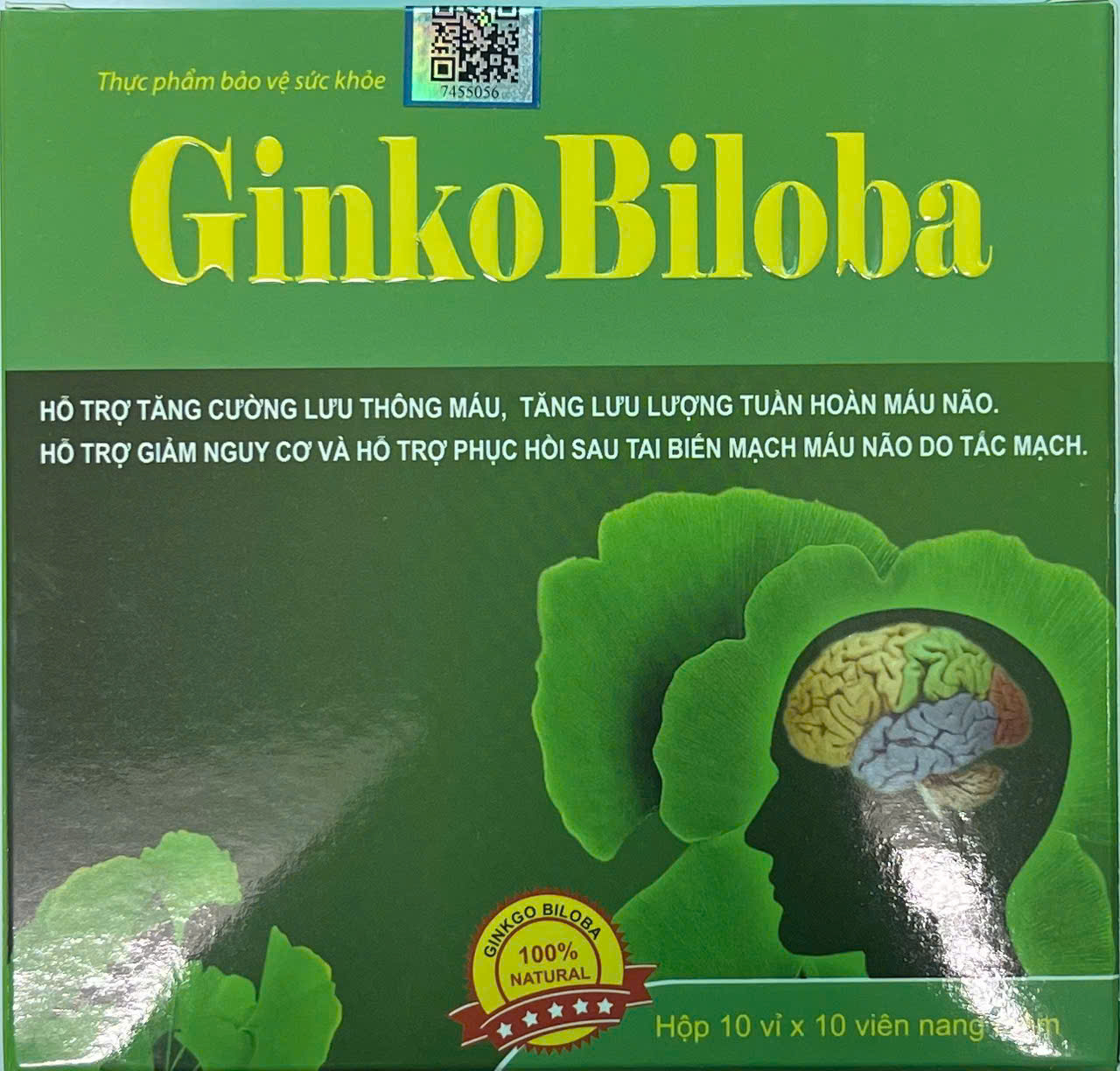 GINKOBILOBA vinaphar (h/100v)
