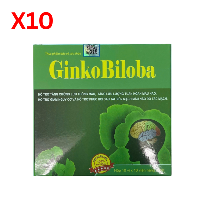 Combo 10 GINKOBILOBA vinaphar
